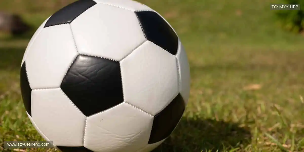 🎧互动弹幕,和千万球迷一起嗨翻全场!